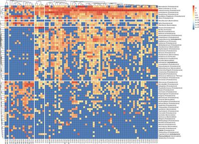 Locality Effect of Coral-Associated Bacterial Community in the Kuroshio Current From Taiwan to Japan